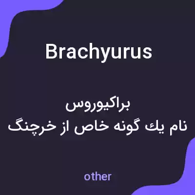 معنی brachyurus به فارسی معنی brachyurus به فارسی