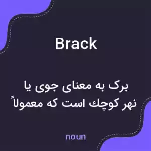 معنی brack به فارسی معنی brack به فارسی