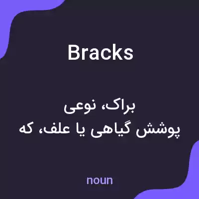 معنی bracks به فارسی معنی bracks به فارسی