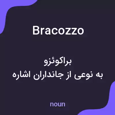 معنی bracozzo به فارسی معنی bracozzo به فارسی