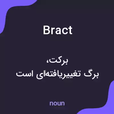 معنی bract به فارسی معنی bract به فارسی