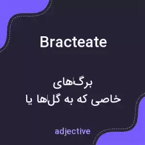 معنی bracteate به فارسی معنی bracteate به فارسی