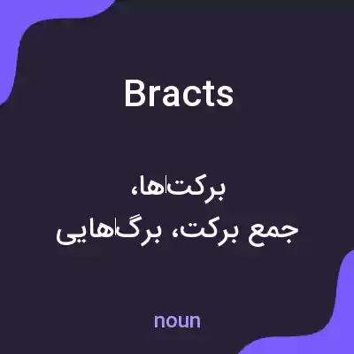 معنی bracts به فارسی معنی bracts به فارسی