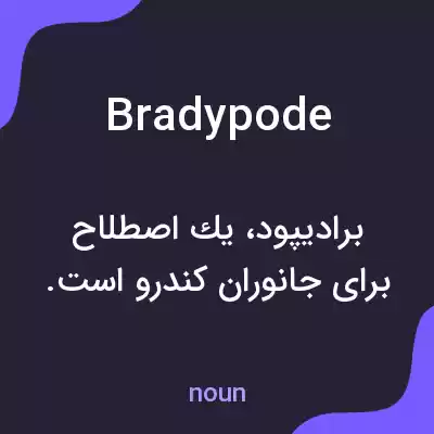 معنی bradypode به فارسی معنی bradypode به فارسی