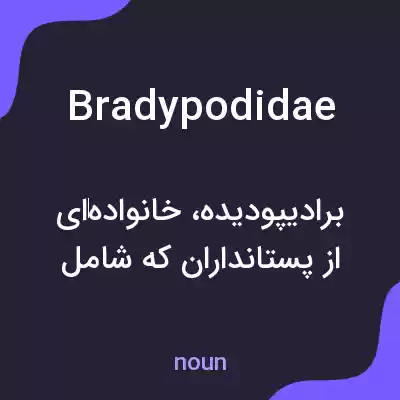 معنی bradypodidae به فارسی