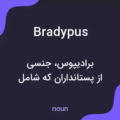 معنی bradypus به فارسی