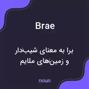 معنی brae به فارسی معنی brae به فارسی