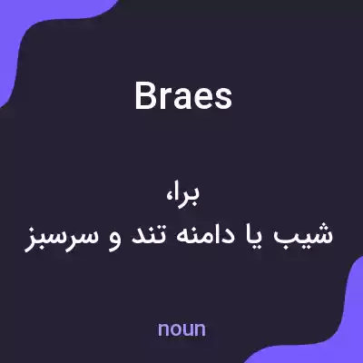 معنی braes به فارسی معنی braes به فارسی