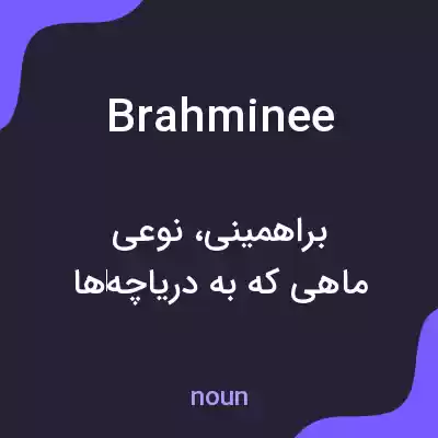 معنی brahminee به فارسی معنی brahminee به فارسی