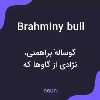معنی brahminy bull به فارسی معنی brahminy bull به فارسی