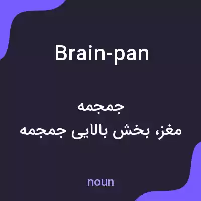 معنی brain-pan به فارسی
