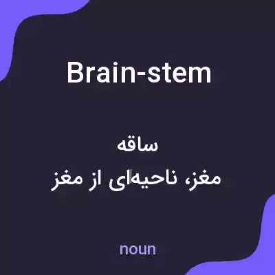 معنی brain-stem به فارسی معنی brain-stem به فارسی