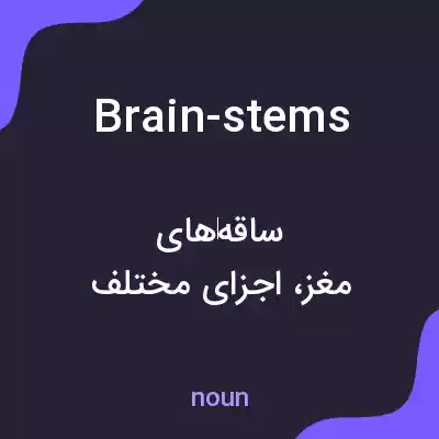 معنی brain-stems به فارسی معنی brain-stems به فارسی