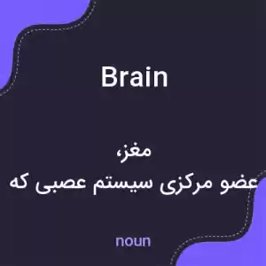 معنی brain به فارسی معنی brain به فارسی
