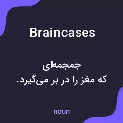 معنی braincases به فارسی معنی braincases به فارسی
