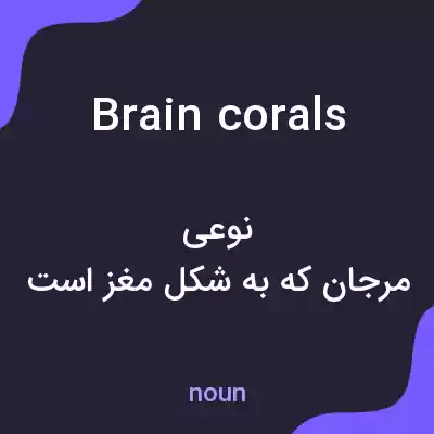 معنی brain corals به فارسی معنی brain corals به فارسی
