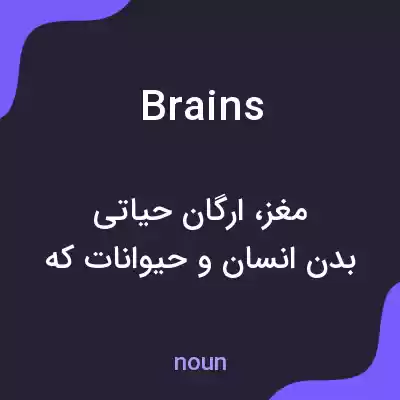 معنی brains به فارسی معنی brains به فارسی
