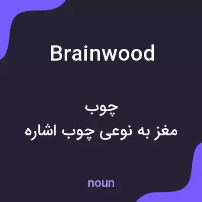 معنی brainwood به فارسی معنی brainwood به فارسی