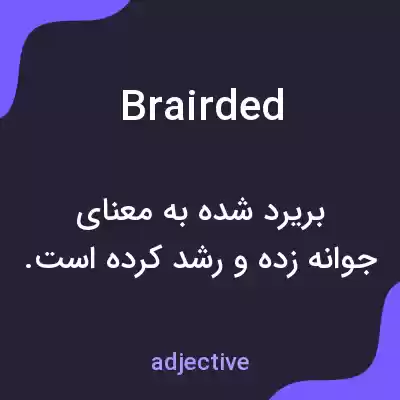 معنی brairded به فارسی معنی brairded به فارسی