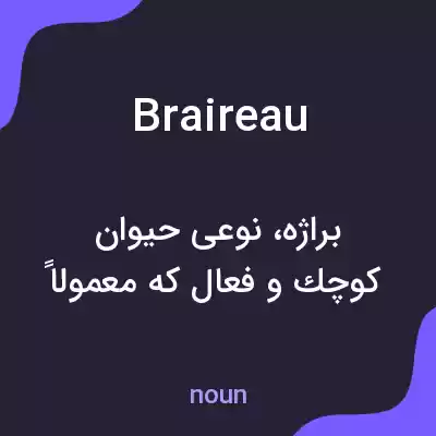 معنی braireau به فارسی معنی braireau به فارسی