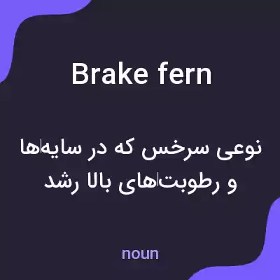 معنی brake fern به فارسی معنی brake fern به فارسی