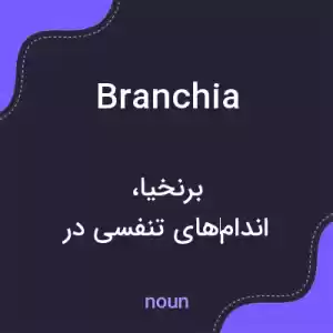 معنی branchia به فارسی معنی branchia به فارسی
