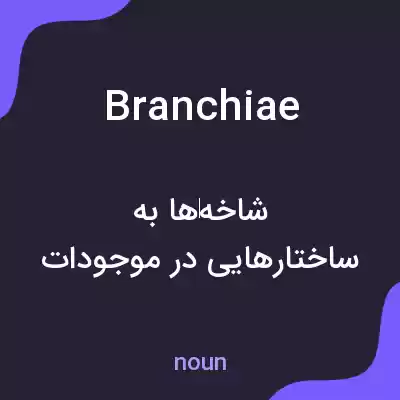 معنی branchiae به فارسی معنی branchiae به فارسی