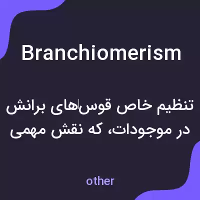 معنی branchiomerism به فارسی معنی branchiomerism به فارسی