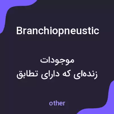 معنی branchiopneustic به فارسی معنی branchiopneustic به فارسی