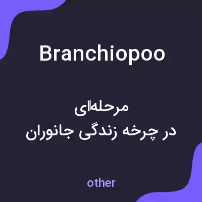 معنی branchiopoo به فارسی معنی branchiopoo به فارسی