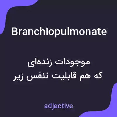 معنی branchiopulmonate به فارسی معنی branchiopulmonate به فارسی