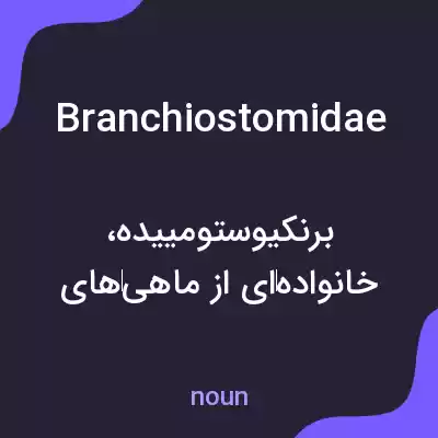 معنی branchiostomidae به فارسی معنی branchiostomidae به فارسی