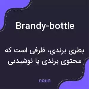 معنی brandy-bottle به فارسی معنی brandy-bottle به فارسی