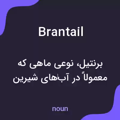 معنی brantail به فارسی معنی brantail به فارسی