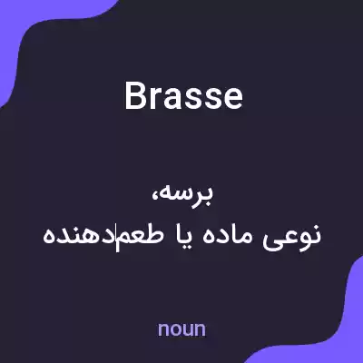 معنی brasse به فارسی معنی brasse به فارسی