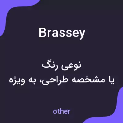 معنی brassey به فارسی معنی brassey به فارسی
