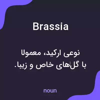 معنی brassia به فارسی معنی brassia به فارسی