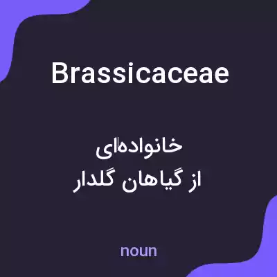معنی brassicaceae به فارسی معنی brassicaceae به فارسی