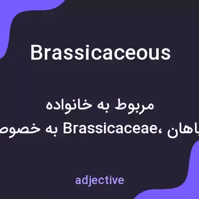 معنی brassicaceous به فارسی معنی brassicaceous به فارسی