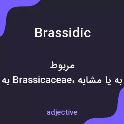 معنی brassidic به فارسی معنی brassidic به فارسی
