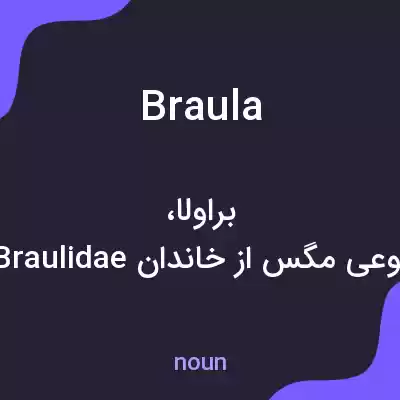 معنی braula به فارسی معنی braula به فارسی