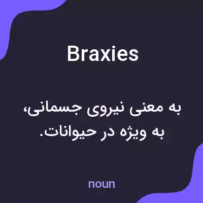 معنی braxies به فارسی معنی braxies به فارسی