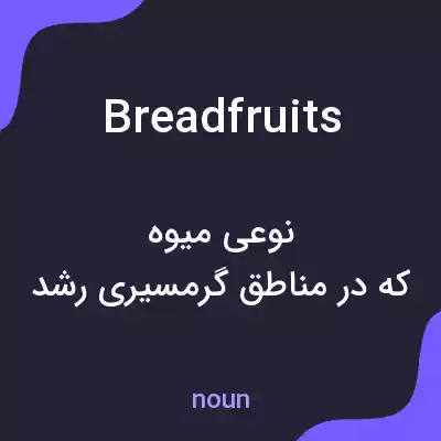 معنی breadfruits به فارسی معنی breadfruits به فارسی