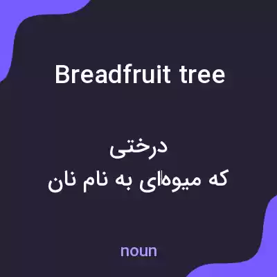 معنی breadfruit tree به فارسی معنی breadfruit tree به فارسی