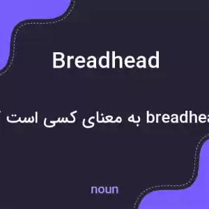 معنی breadhead به فارسی معنی breadhead به فارسی