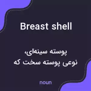 معنی breast shell به فارسی معنی breast shell به فارسی