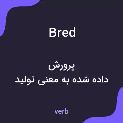 معنی bred به فارسی معنی bred به فارسی