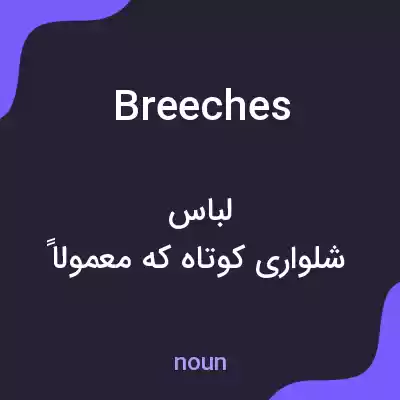 معنی breeches به فارسی معنی breeches به فارسی