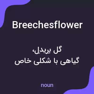 معنی breechesflower به فارسی معنی breechesflower به فارسی