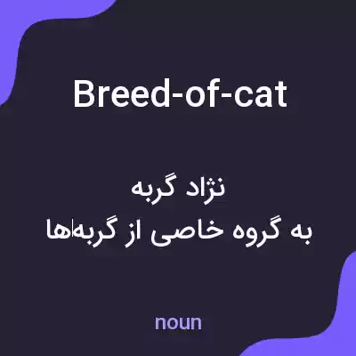 معنی breed-of-cat به فارسی
